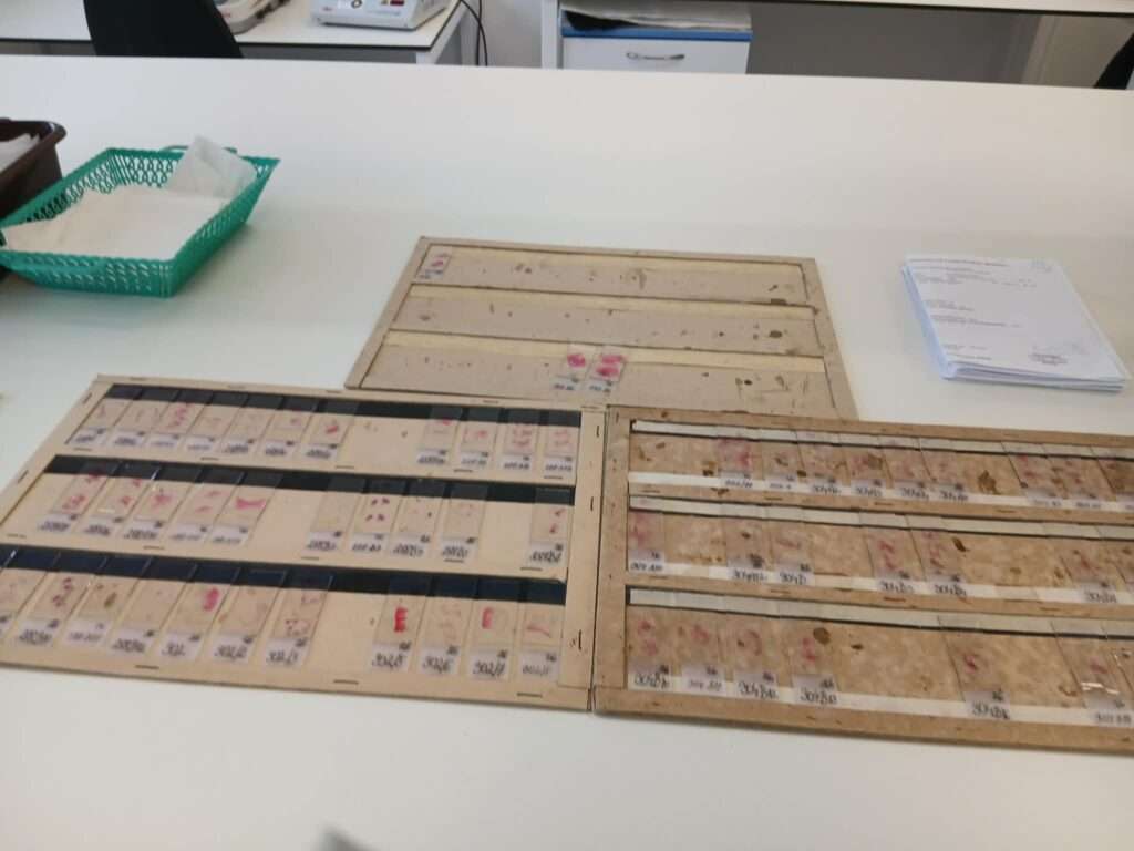 647144563 935270059044611 8638252288638069113 n