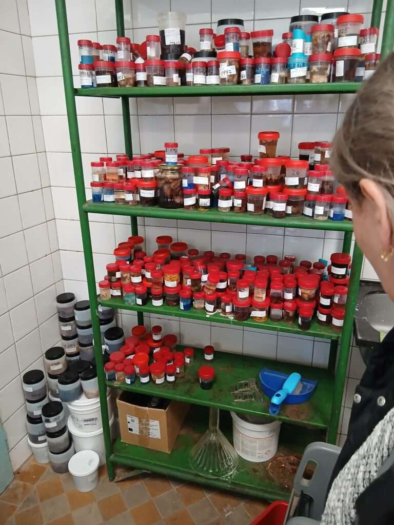 649815284 935269989044618 3446659696655898083 n