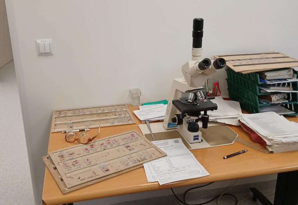 649839785 935270035711280 121129735399389010 n