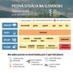 donsp alergia pel