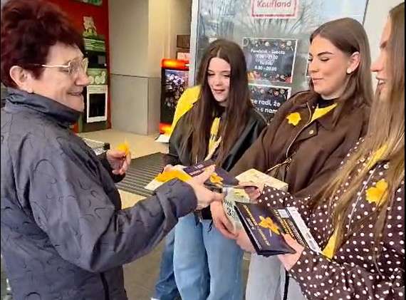 donsp den narcisov 6