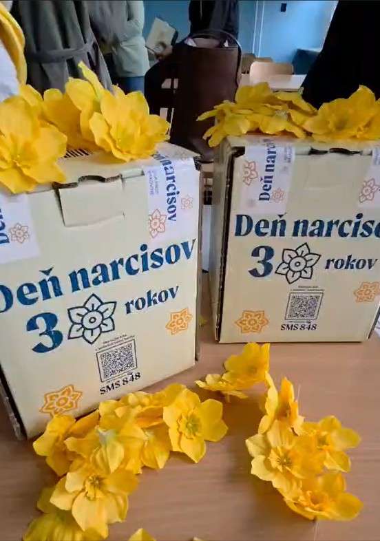 donsp den narcisov 7