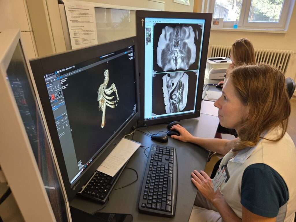 donsp rentgen mr sono 9