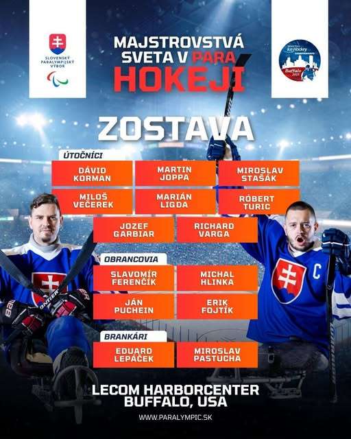 para hokej d