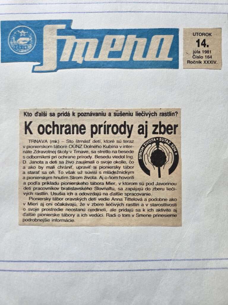 whatsapp image 2026 01 05 at 13.17.39 (2)