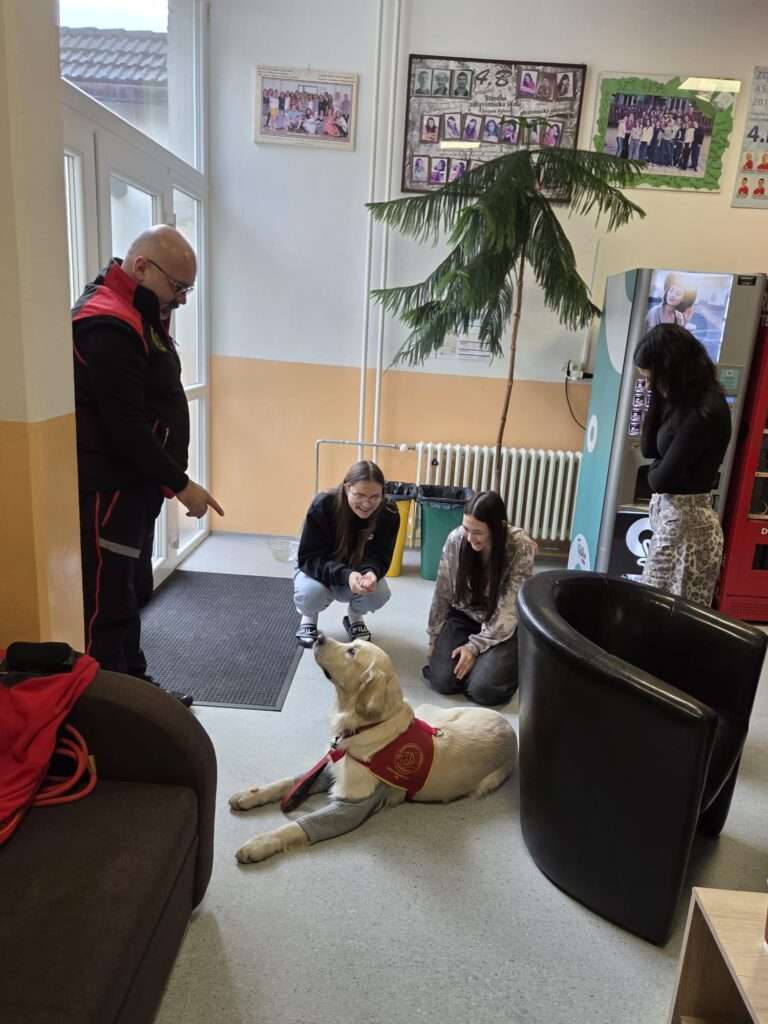 whatsapp image 2026 02 13 at 10.21.09 (1)