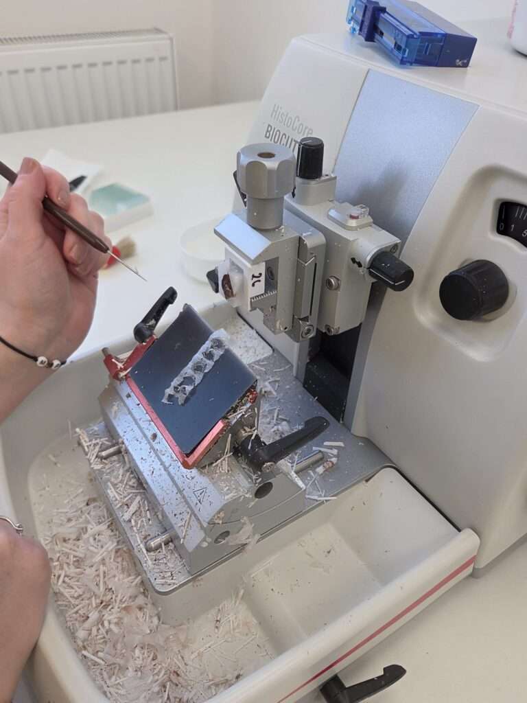 whatsapp image 2026 03 13 at 10.27.06 (4)