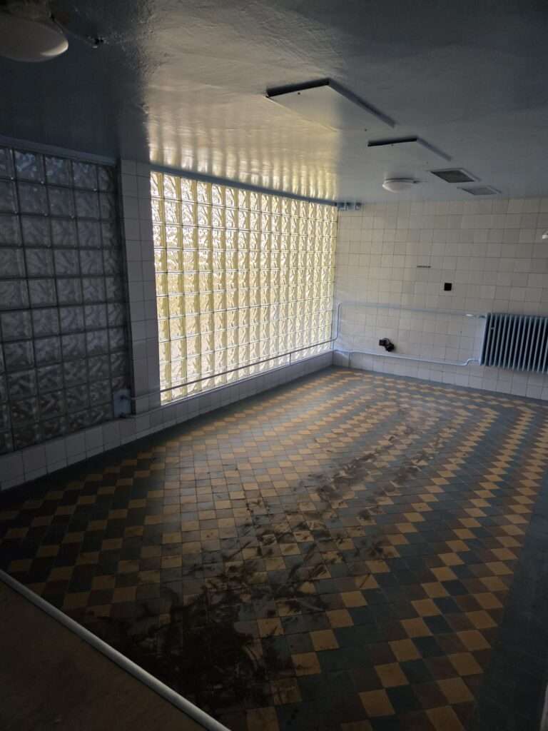 whatsapp image 2026 03 20 at 08.05.41 (6)