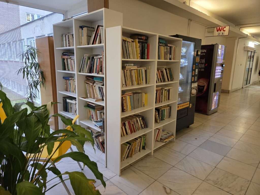 whatsapp image 2026 03 31 at 07.55.29 (3)